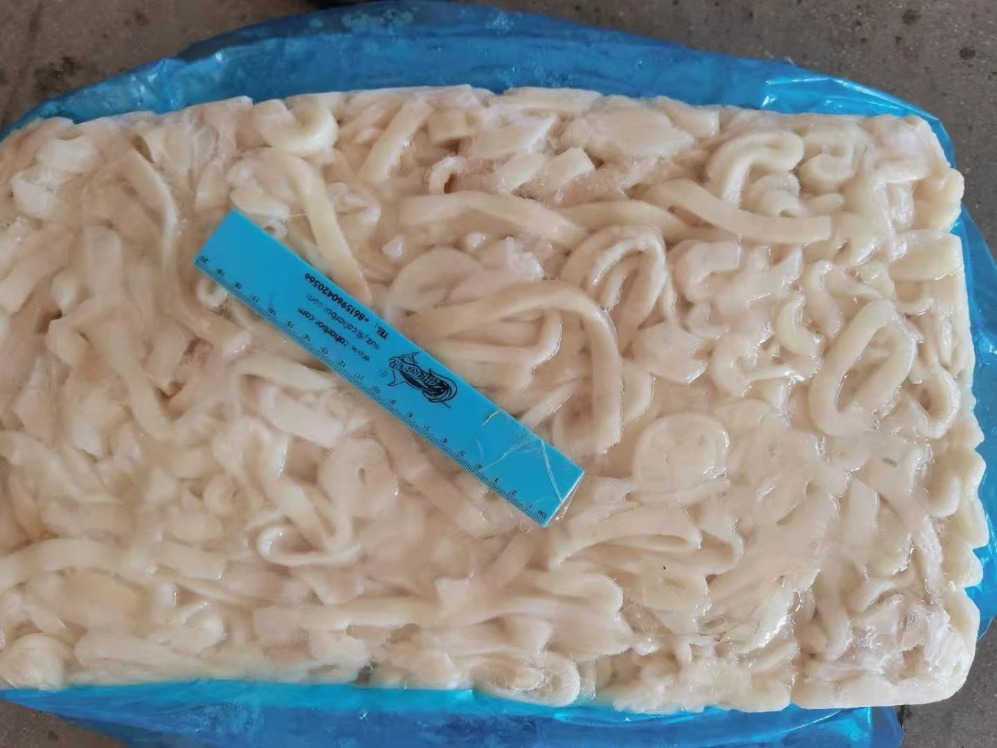broken squid ring