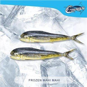 Mahi Mahi con buena calidad