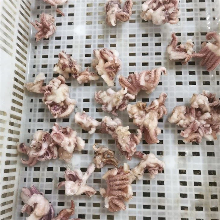 Frozen Small Squid Head Tentacle