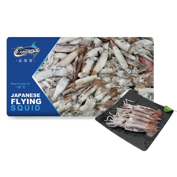 Calamares Voladores Gigantes Congelados