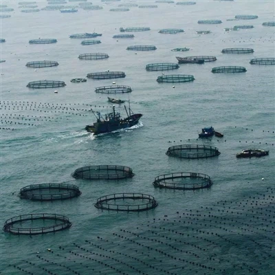 Los 10 principales países exportadores de productos del mar ¿Qué país exporta...