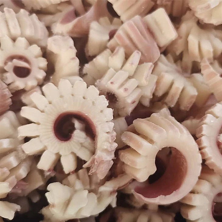 Frozen Squid Sunflower