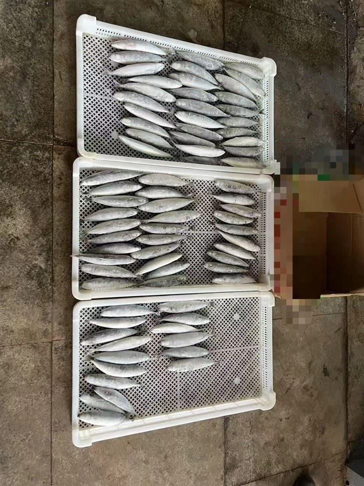 5ca8d2723b38f52508ab61c1ad257221_