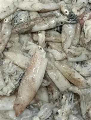 Piel de calamar encendida o apagada, ¿cuál es mejor?