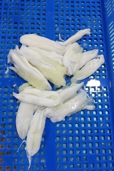 39755866115192668289291877198172478326512434n 39755866115192668289291877198172478326512434n