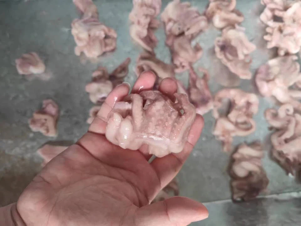 31763255817372390566598212459915273754919780n 31763255817372390566598212459915273754919780n