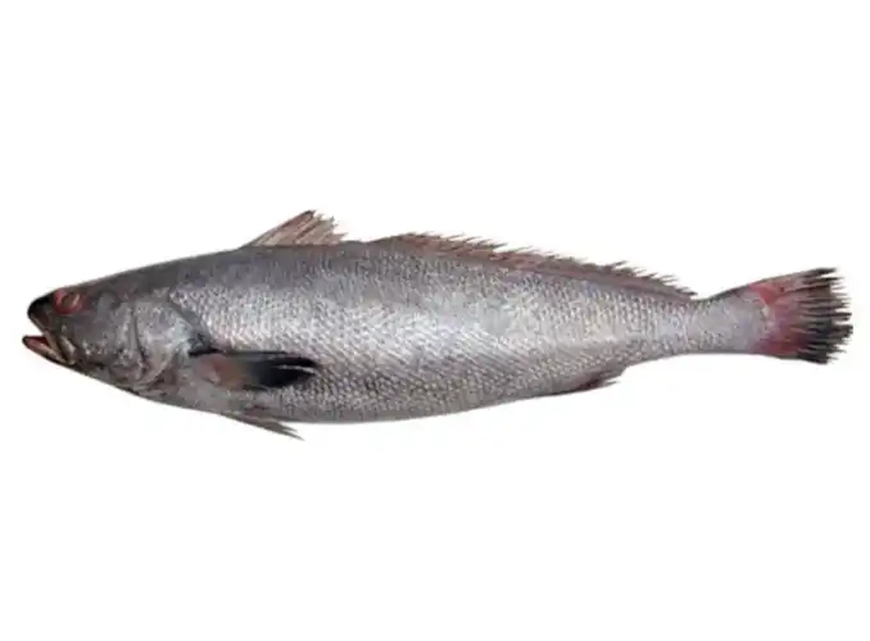 u3630380983892931461fm253fmtautoapp138fJPEGwebp u3630380983892931461fm253fmtautoapp138fJPEGwebp
