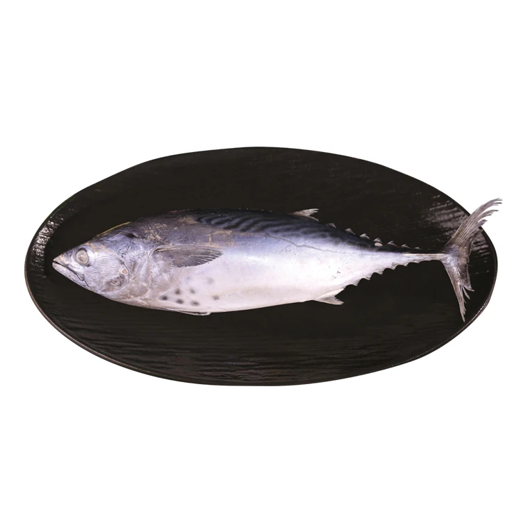 3 spot bonito