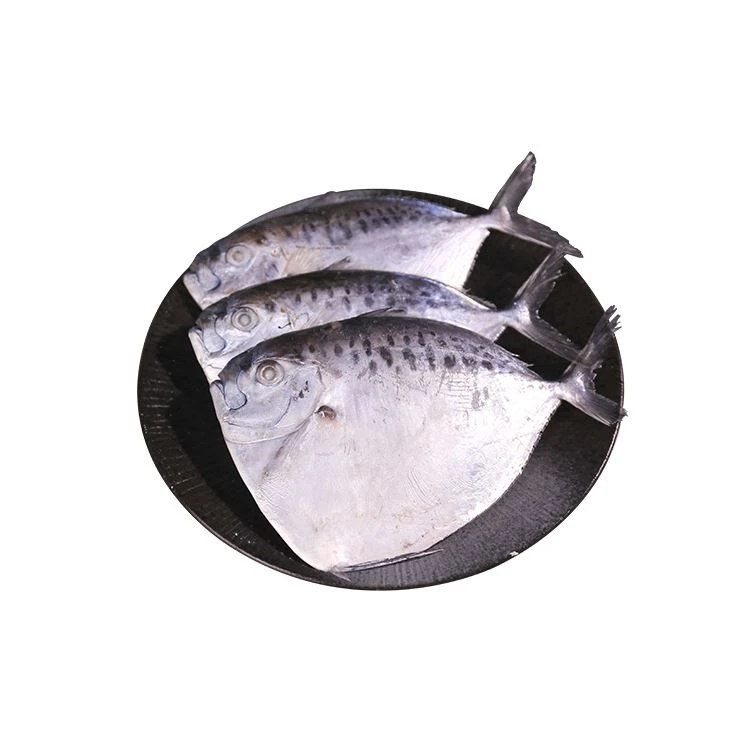 moonfish