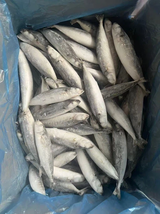 97016474055989d25e1ec167fb0c55a2 97016474055989d25e1ec167fb0c55a2