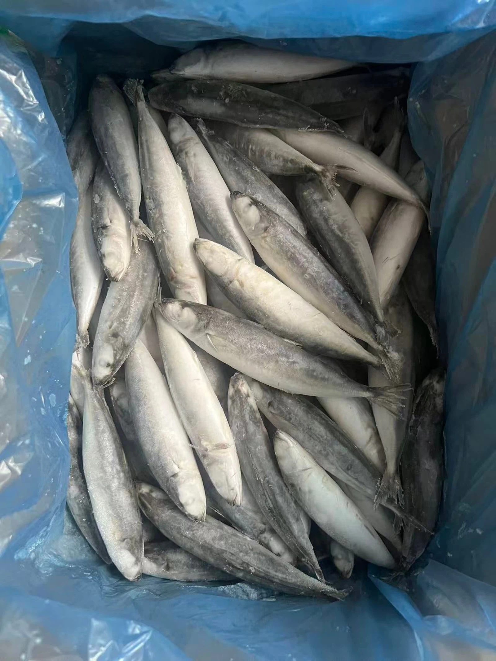 f2ba0d2820036756bfc57dba3ec8cea2 f2ba0d2820036756bfc57dba3ec8cea2