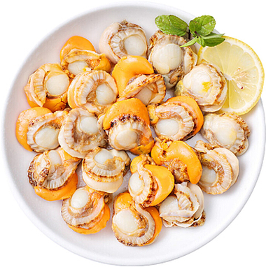 Carne de vieira marina congelada